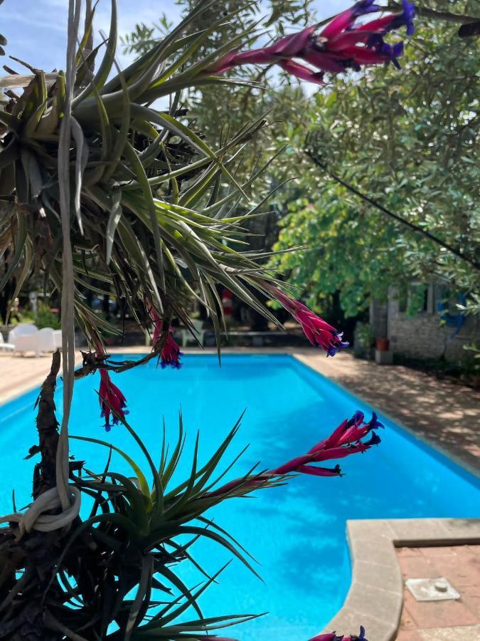 Loft Mansardato Con Giardino E Piscina In Villa Privata Loft With Garden And Swimming Pool In A Private Villa Sestu Exterior foto