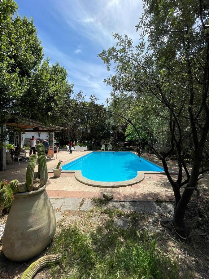 Loft Mansardato Con Giardino E Piscina In Villa Privata Loft With Garden And Swimming Pool In A Private Villa Sestu Exterior foto